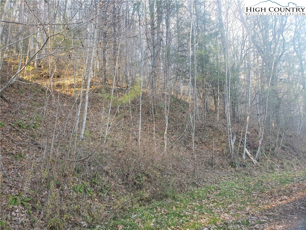Lot 12 Riverside Lane Crumpler, NC 28617 - Photo 8 of 20 Gallery Image 8
