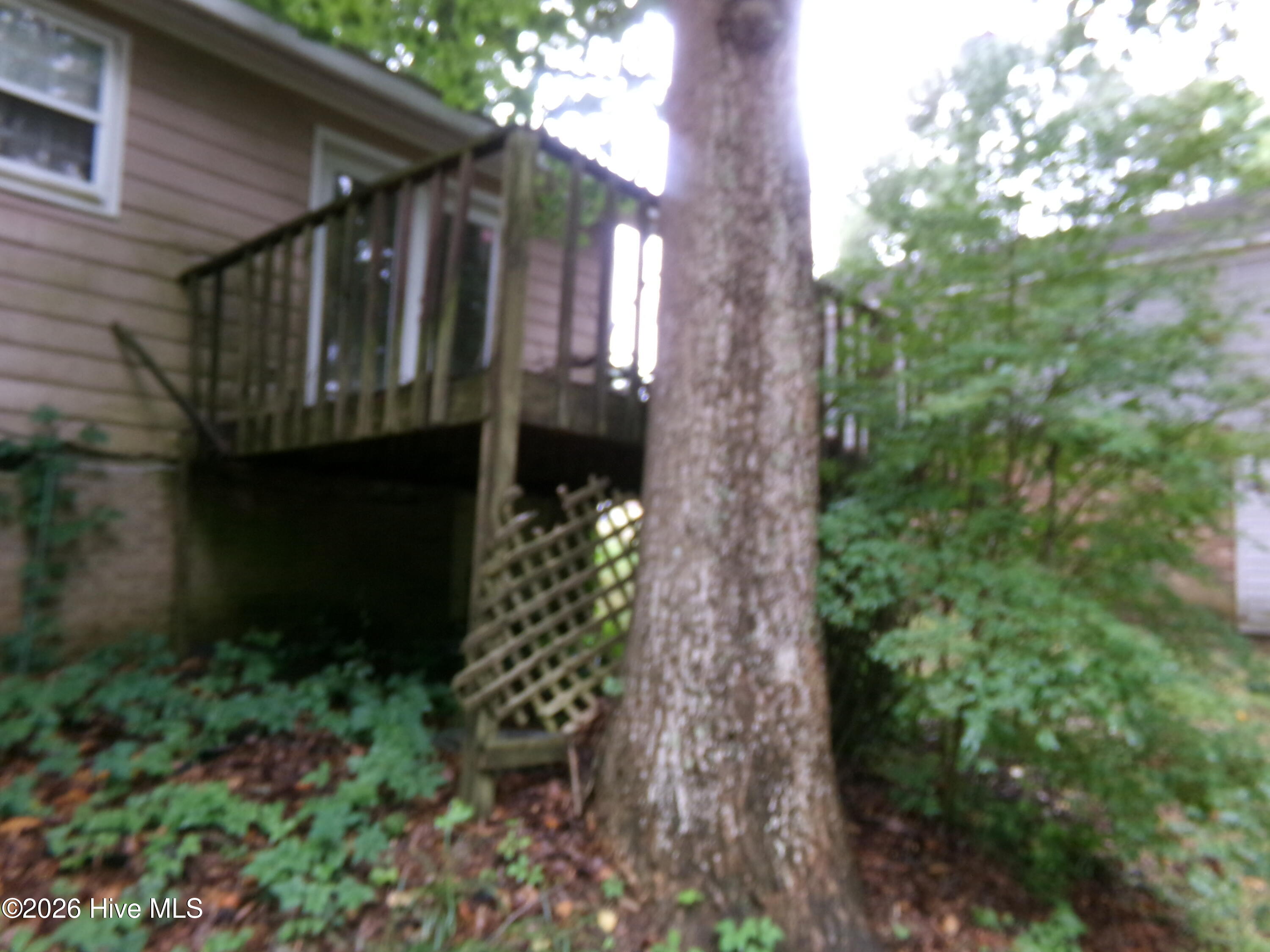 2804 Sourwood Street Raleigh, NC 27610 - Photo 6 of 17