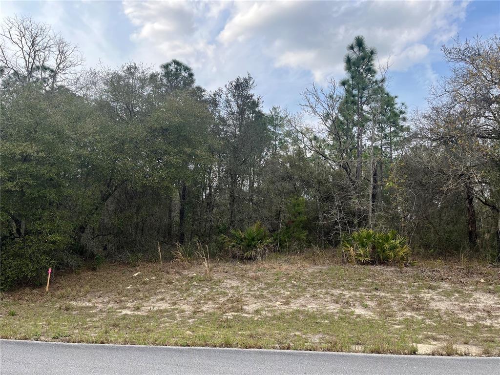 Tbd Southwest 77th Street Ocala, FL 34473 - Photo 1 of 1 Gallery Image 1