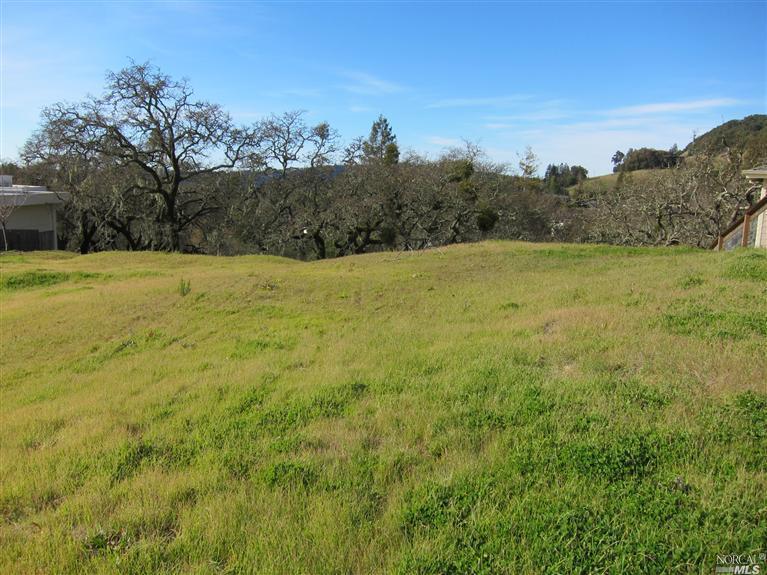5965 Vista Ridge Santa Rosa, CA 95409 - Photo 1 of 1 a view of a yard with an trees