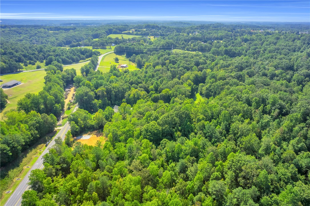 167 Cherokee Trail Easley, SC 29640 - Photo 11 of 18 Vast, verdant landscape offering a tranquil retreat from urban life.