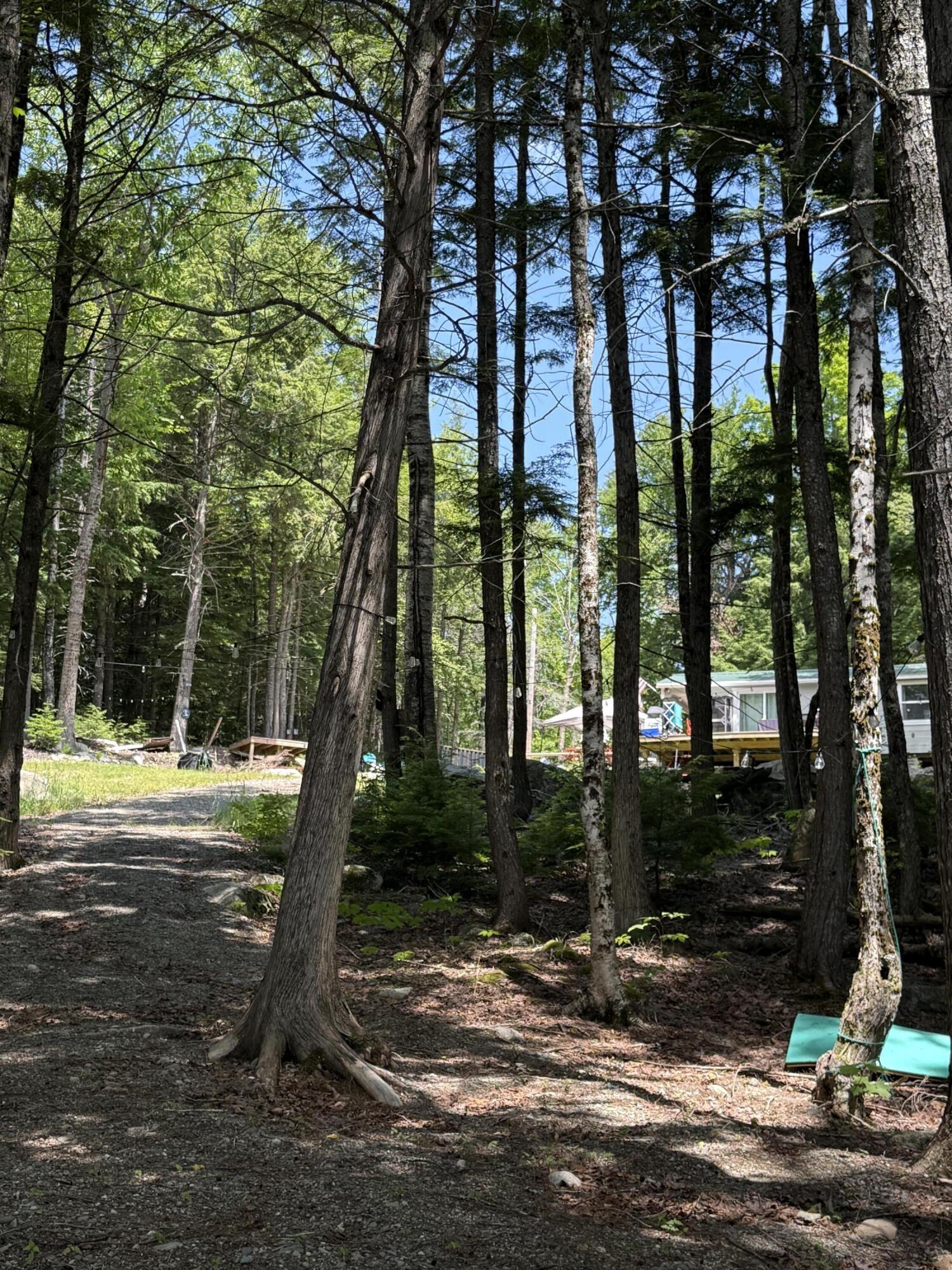 1750 Houston Road Lincoln, ME 04457 - Photo 15 of 31 IMG_7993