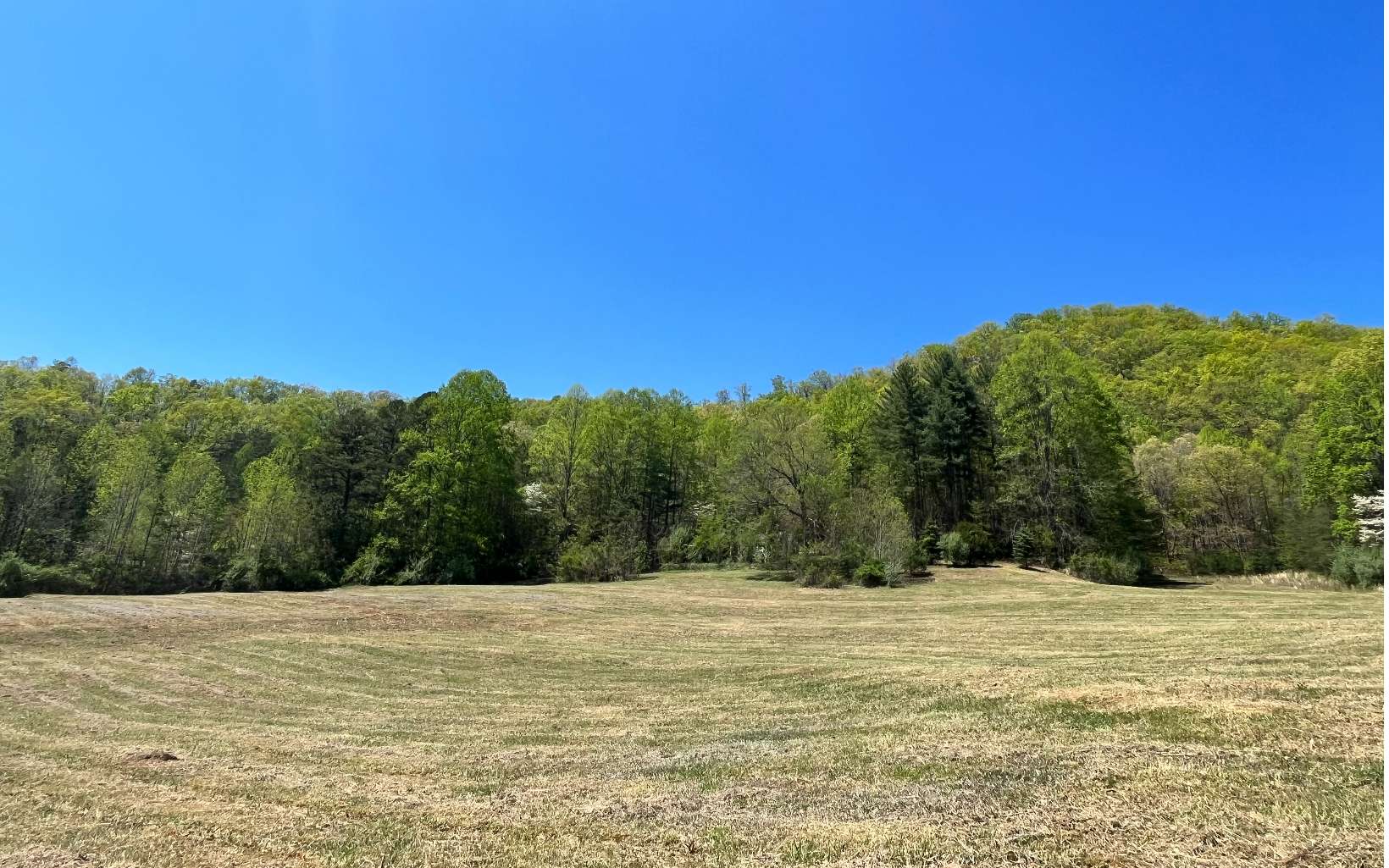 844 Bluff Road Marble, NC 28905 - Photo 5 of 22 Additional View