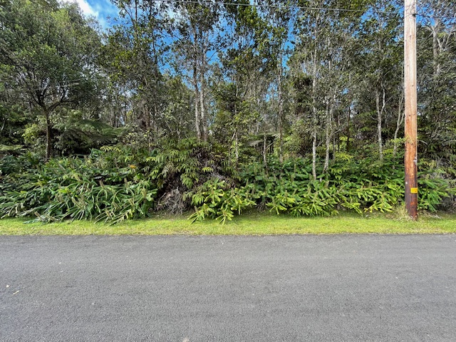 131 1st Street Volcano, HI 96785 - Photo 1 of 5 a view of a big yard with plants and trees