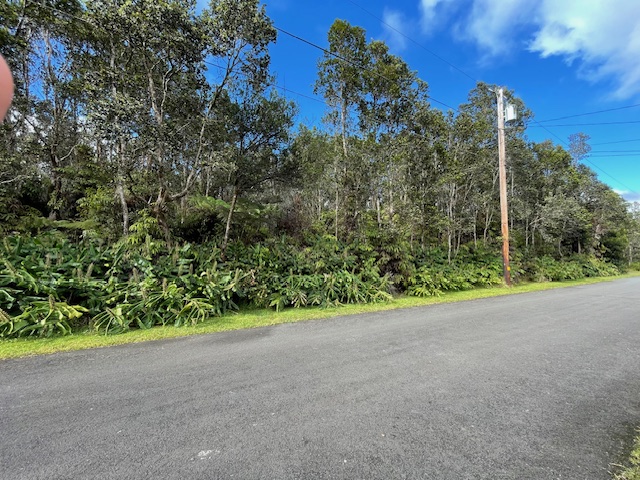 131 1st Street Volcano, HI 96785 - Photo 2 of 5 a view of a green field with plants in the background