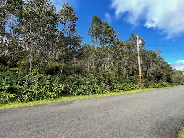131 1st Street Volcano, HI 96785 - Photo 3 of 5 a view of a field with a view of a forest