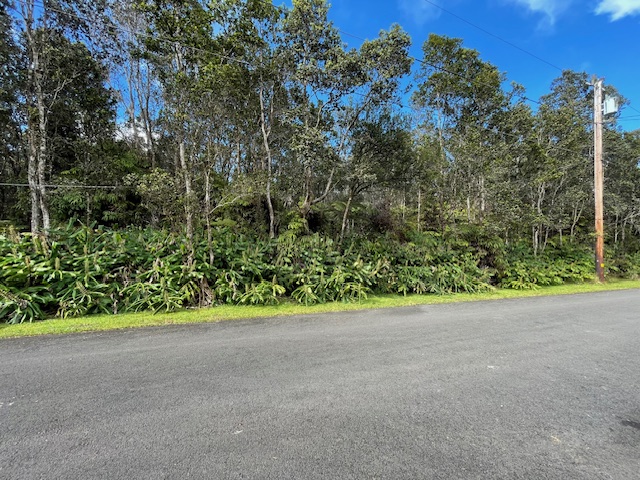131 1st Street Volcano, HI 96785 - Photo 4 of 5 a view of a garden with large trees