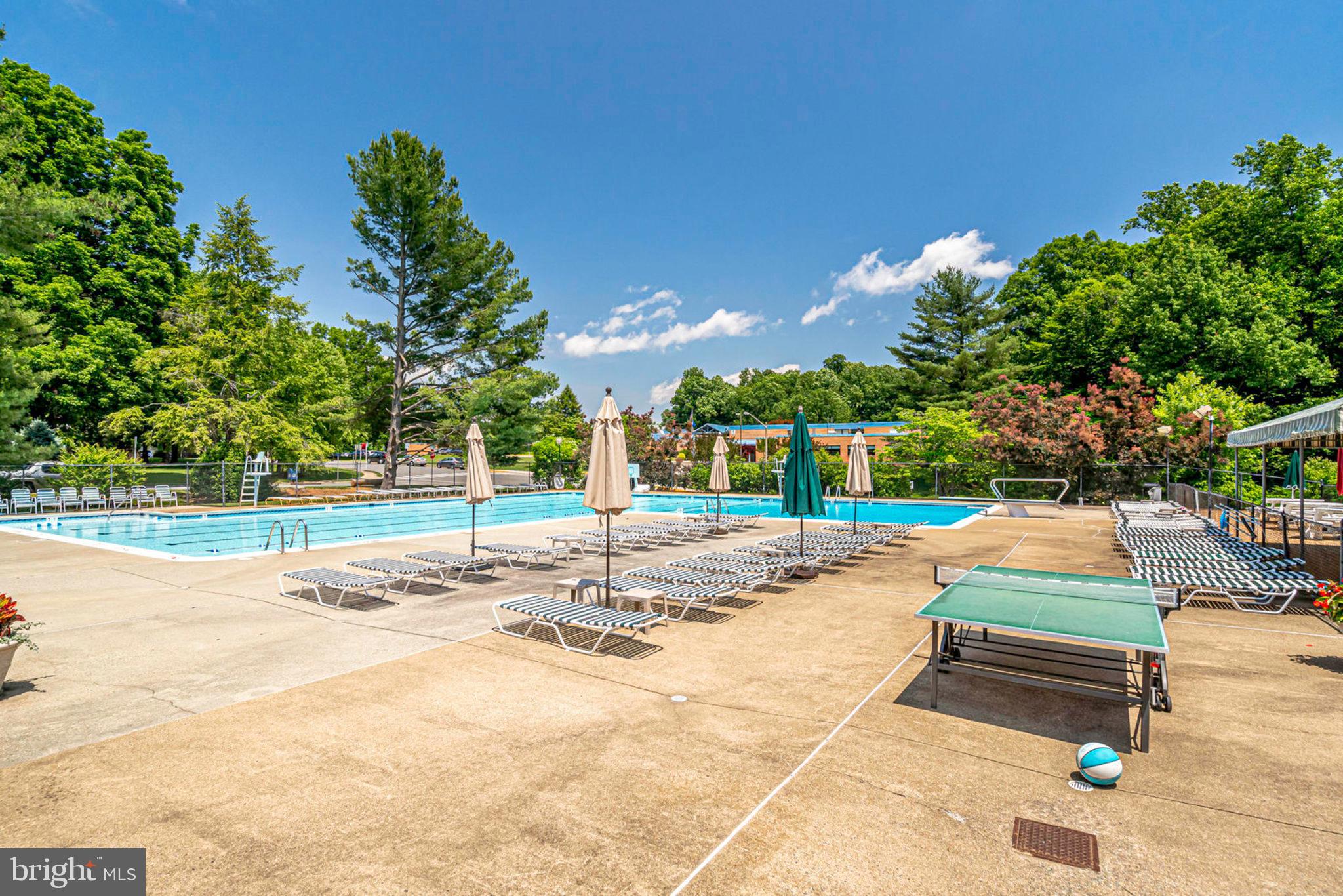 8306 Uxbridge Court Springfield, VA 22151 - Photo 37 of 50 Community Pool