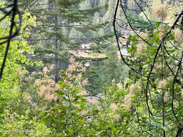 $35,000 | 29-acres South Hinds Drive, St. Maries, ID 83861