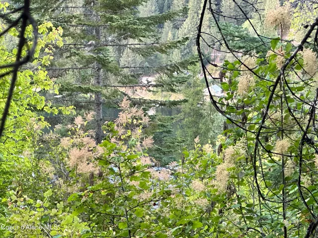 $35,000 | 29-acres South Hinds Drive, St. Maries, ID 83861