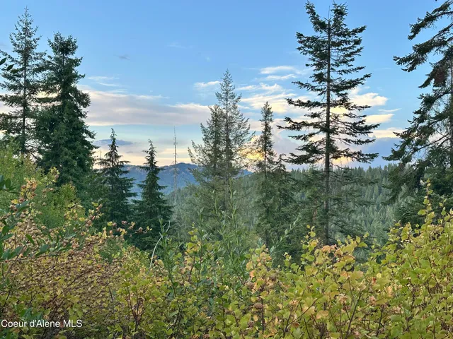 $35,000 | 29-acres South Hinds Drive, St. Maries, ID 83861