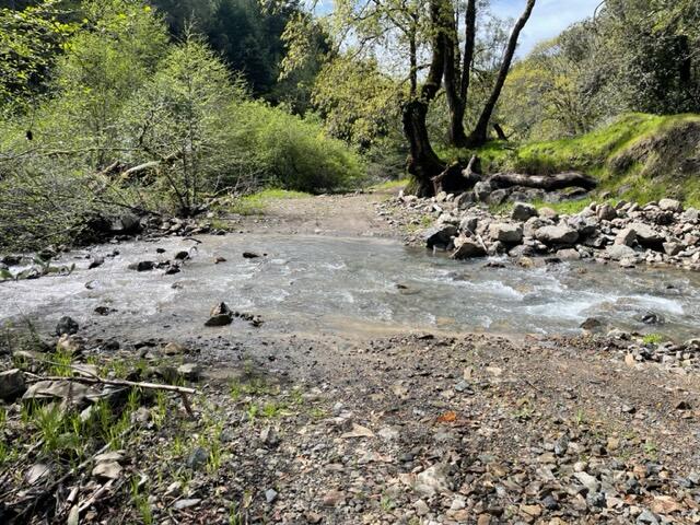 4001 Conklin Creek Road Ferndale, CA 95536 - Photo 93 of 125