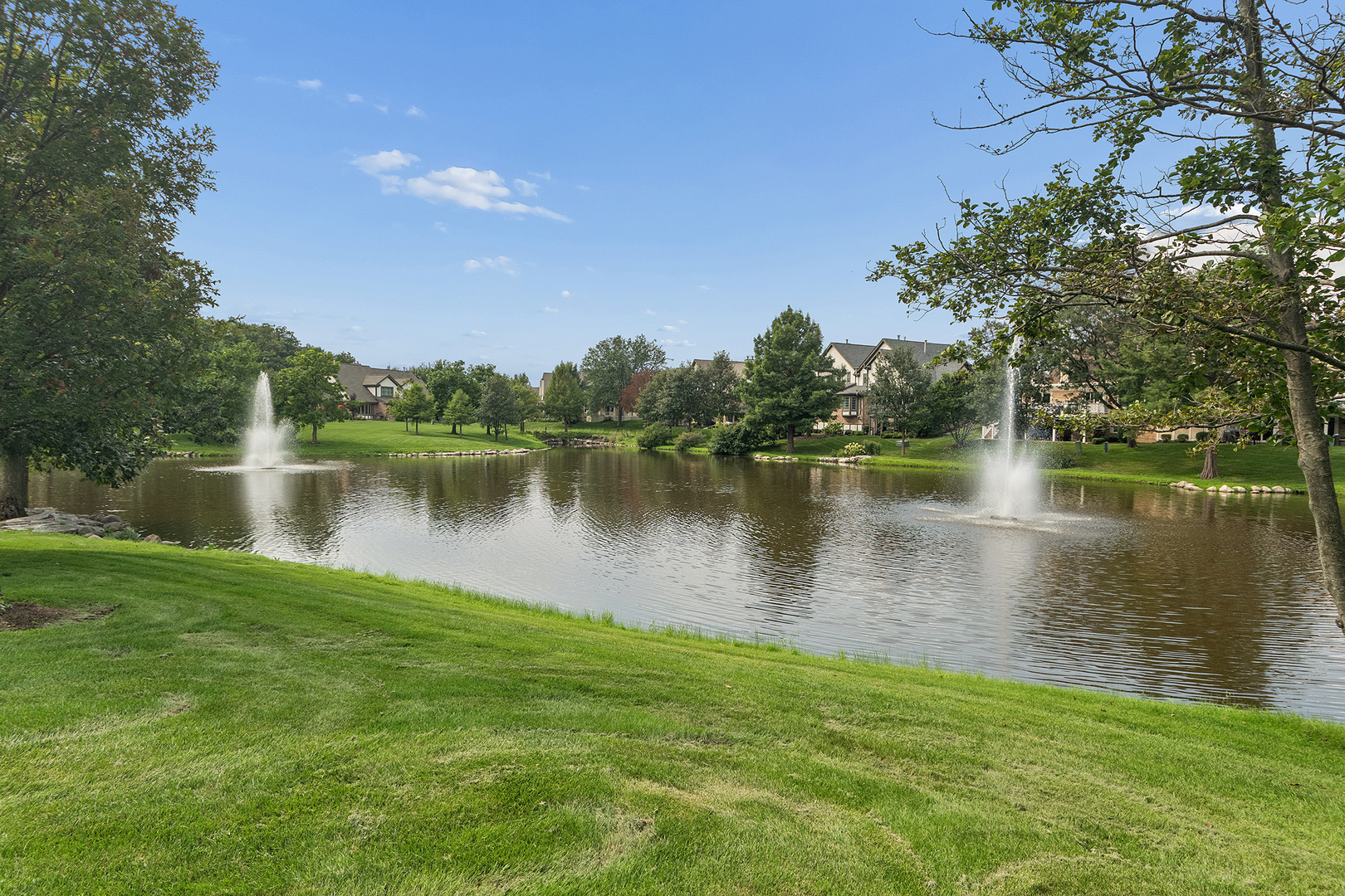 14425 Lake Ridge Road Orland Park, IL 60462 - Photo 37 of 42 Gallery Image 37