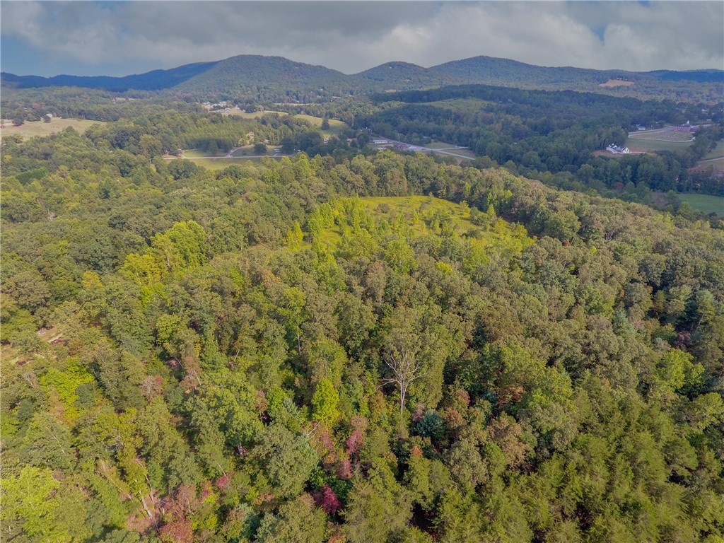0 Jones Circle Pickens, SC 29671 - Photo 18 of 18
