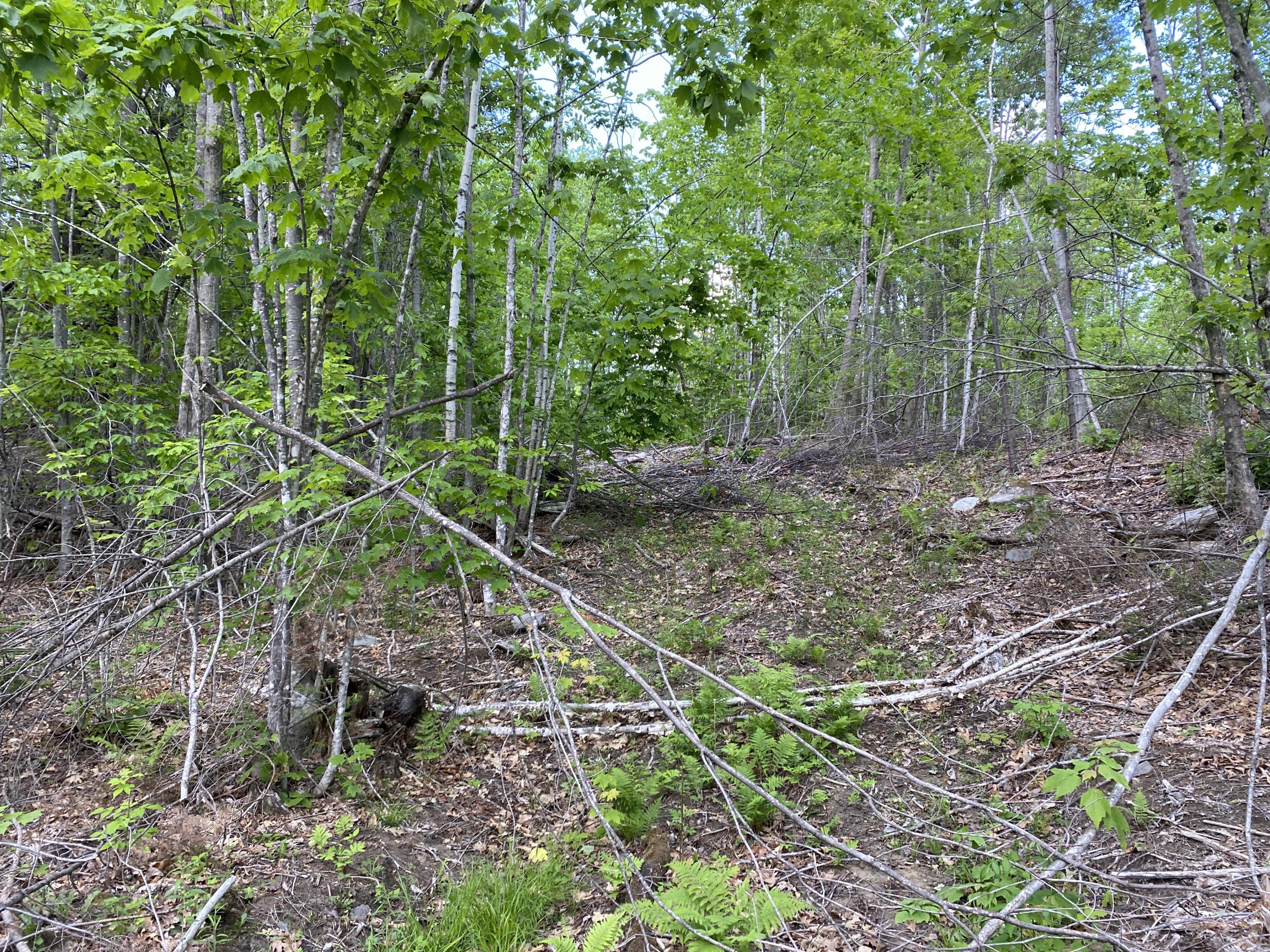 Lot A Dead Water Road Moscow, ME 04920 - Photo 6 of 8 IMG_1359