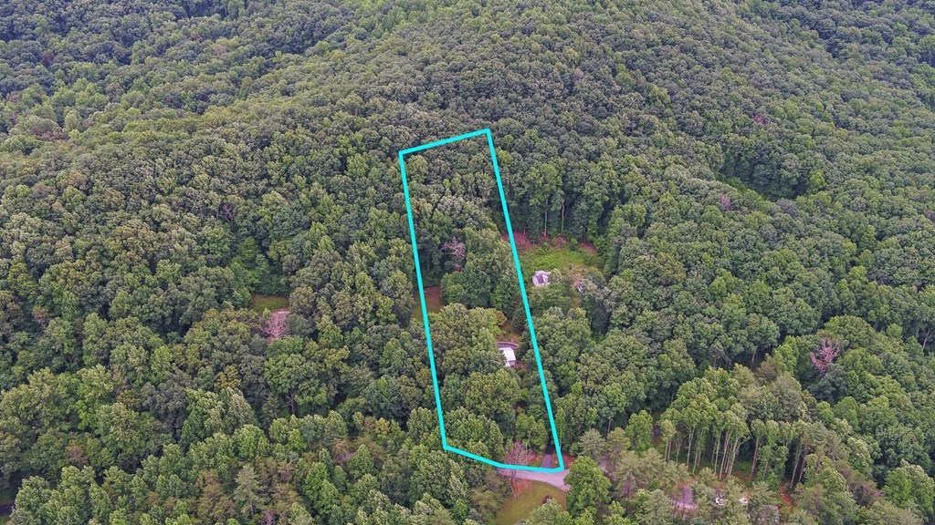 475 Hamilton Road Blairsville, GA 30512 - Photo 40 of 53
