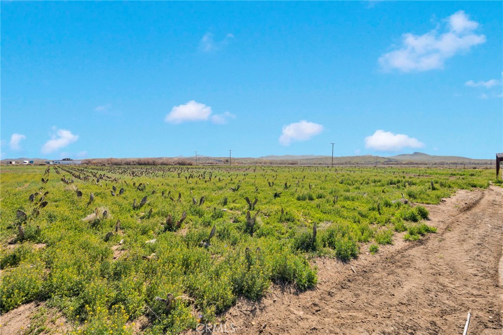 28571 Wild Helendale, CA 92342 - Photo 9 of 22 a view of a beach with a big yard
