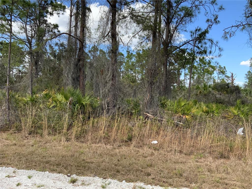 4219 East 30th Street Alva, FL 33920 - Photo 6 of 8 a view of a yard