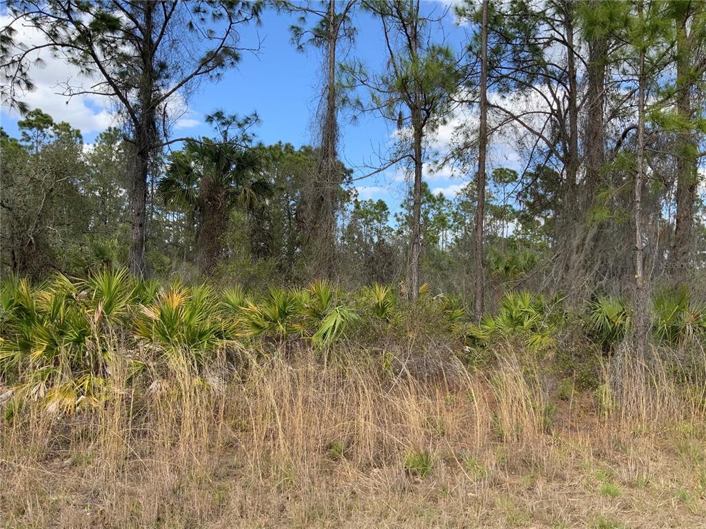 4219 East 30th Street Alva, FL 33920 - Photo 8 of 8 a view of a garden