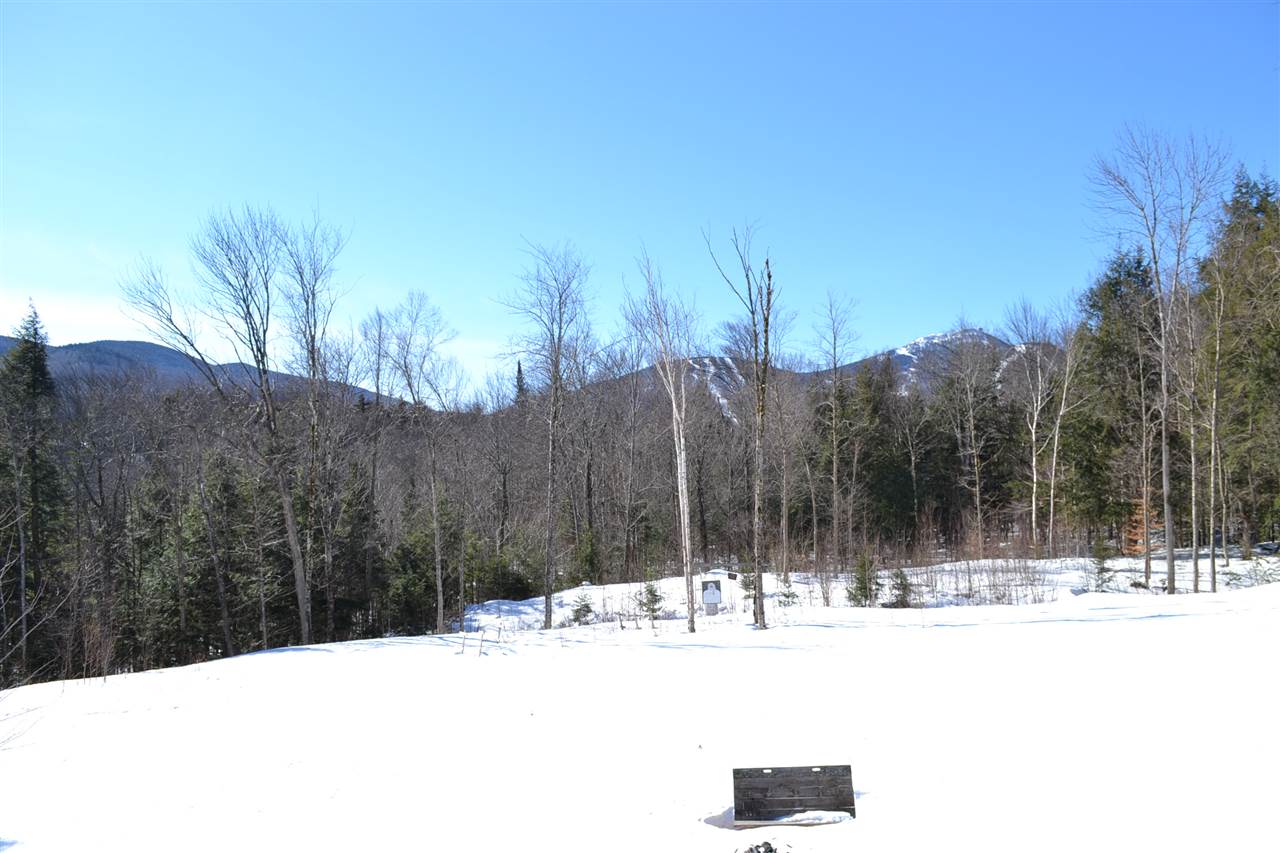 373 Wilderness Road, Unit TH35 Jay, VT 05859 - Photo 14 of 19 Gallery Image 14