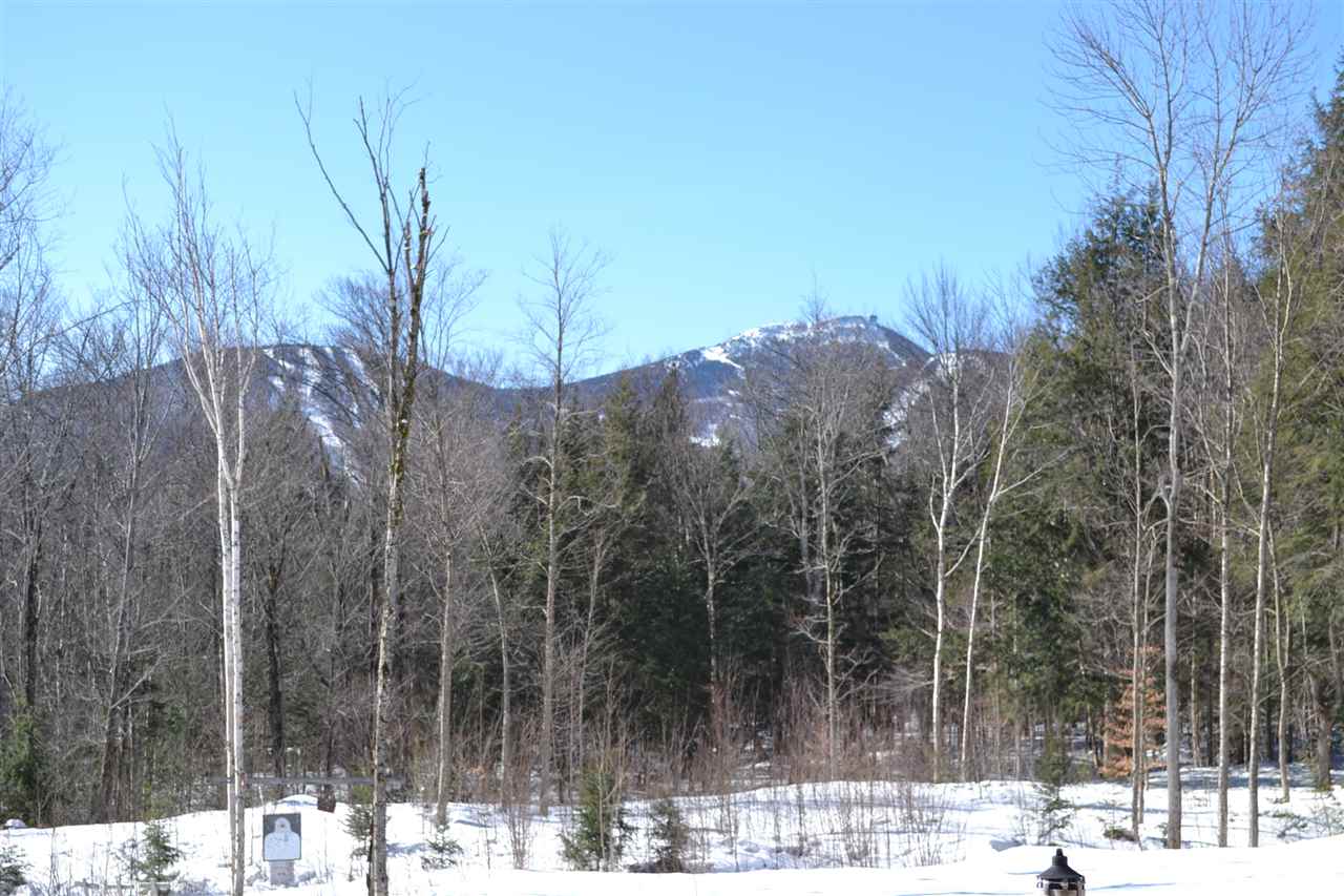 373 Wilderness Road, Unit TH35 Jay, VT 05859 - Photo 3 of 19 Gallery Image 3