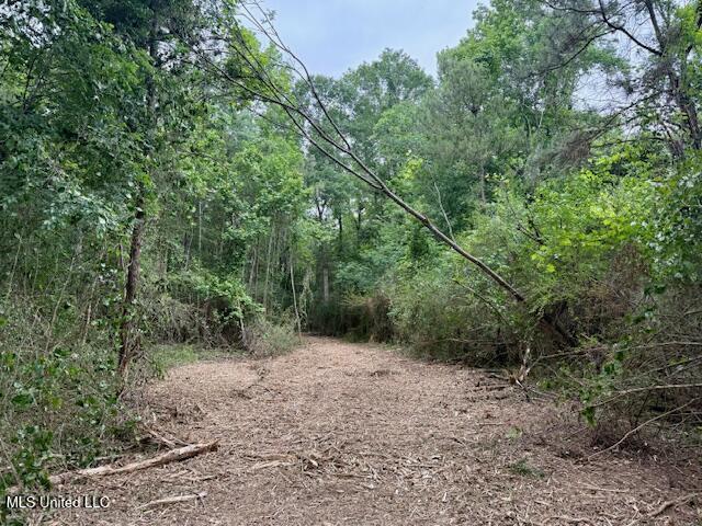 Mt Herman Road Osyka, MS 39657 - Photo 28 of 53 IMG_5403
