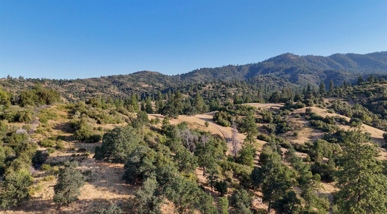 0 Whitaker Forest Road Miramonte, CA 93603 - Photo 30 of 78