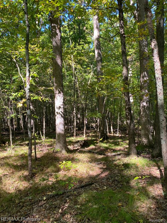 9532 Scully Road Whitmore Lake, MI 48189 - Photo 17 of 27
