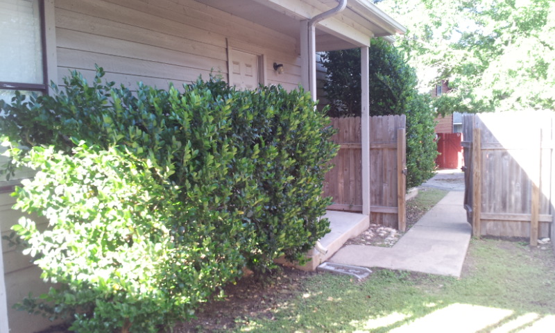 8807 Schick Road, Unit D Austin, TX 78729 - Photo 3 of 23 Gallery Image 3