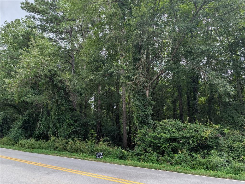 0 McKown Road Douglasville, GA 30134 - Photo 3 of 7 a view of a forest with trees in the background