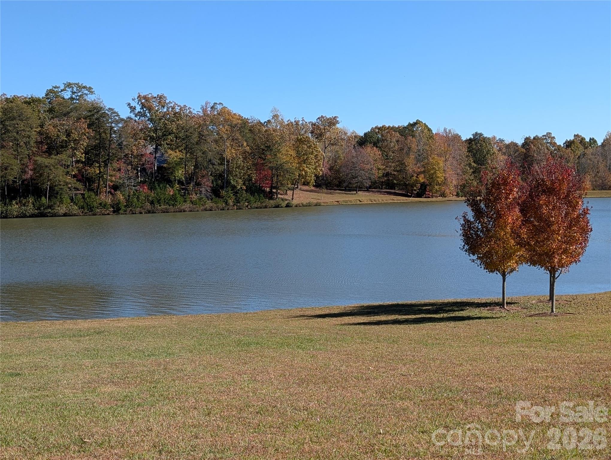 0 Mapleton Lane, Unit 18 Tryon, NC 28782 - Photo 4 of 13