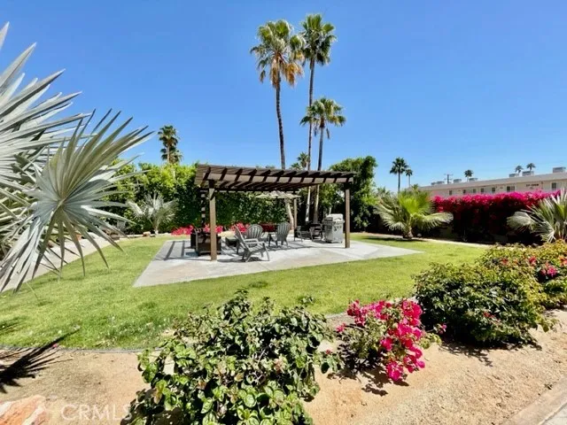 a view of a garden with plants and large trees