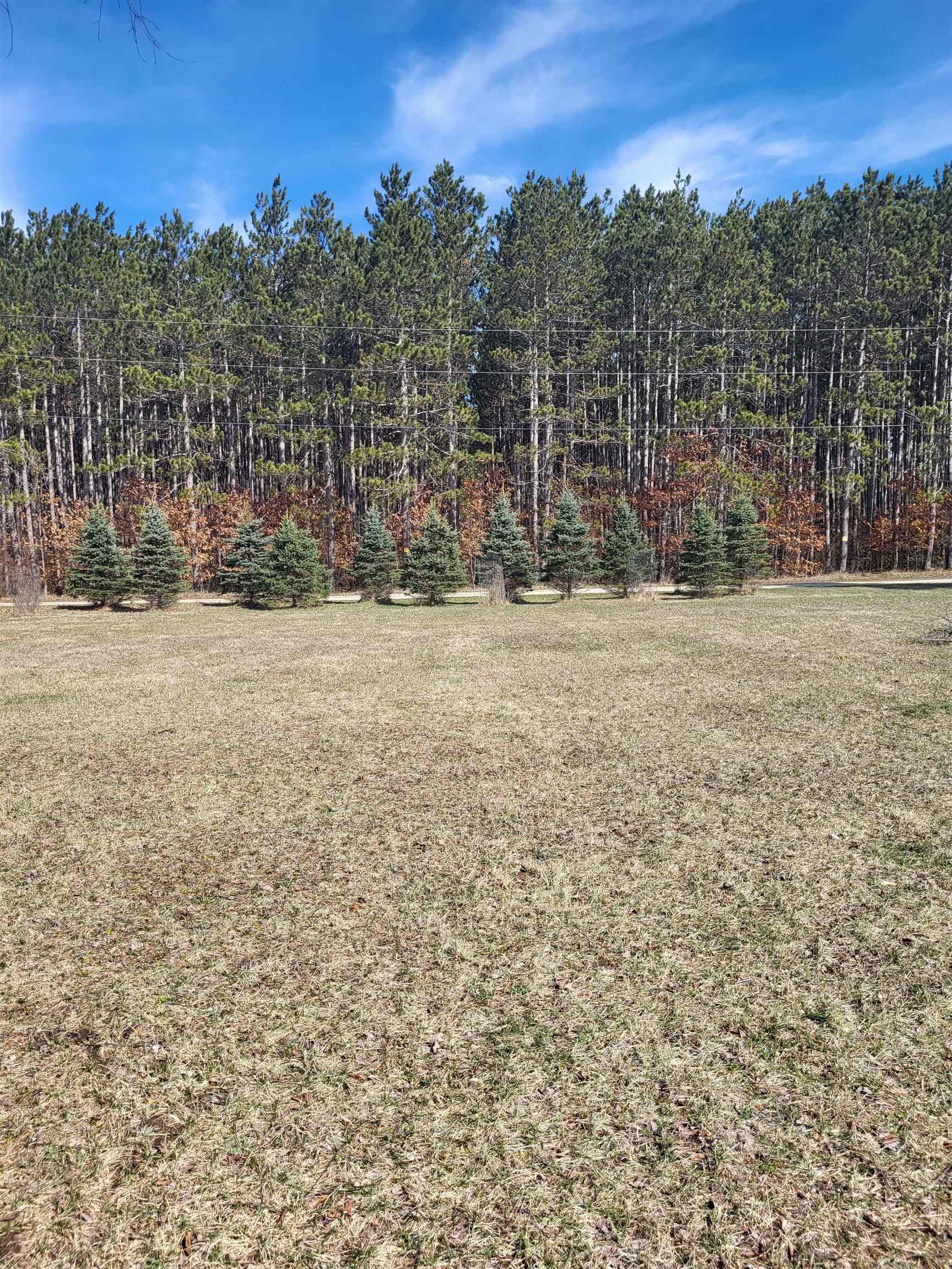 West Little Turtle Way Weidman, MI 48893 - Photo 6 of 11