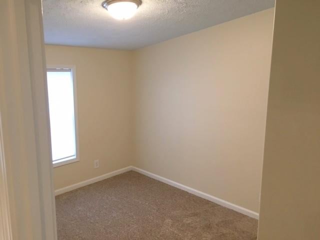 3753 Mcmichael Road Alanson, MI 49706 - Photo 12 of 23 Gallery Image 12