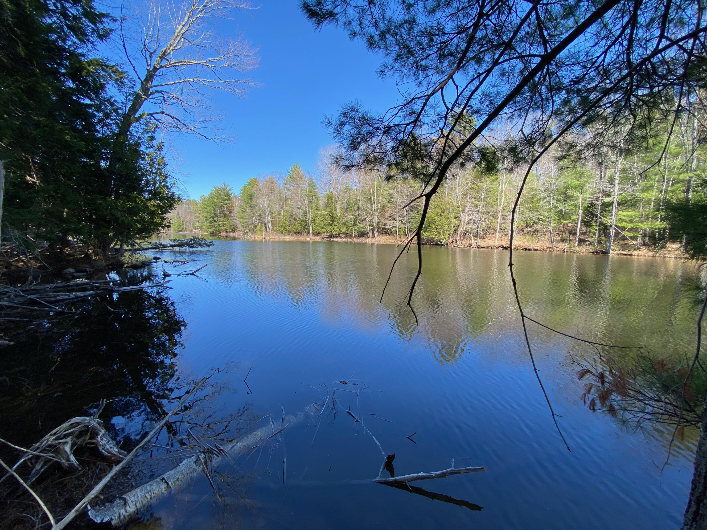 Lot 2 Marble Point Rd Mount Mount Vernon, ME 04352 - Photo 12 of 42 WATERFRONT