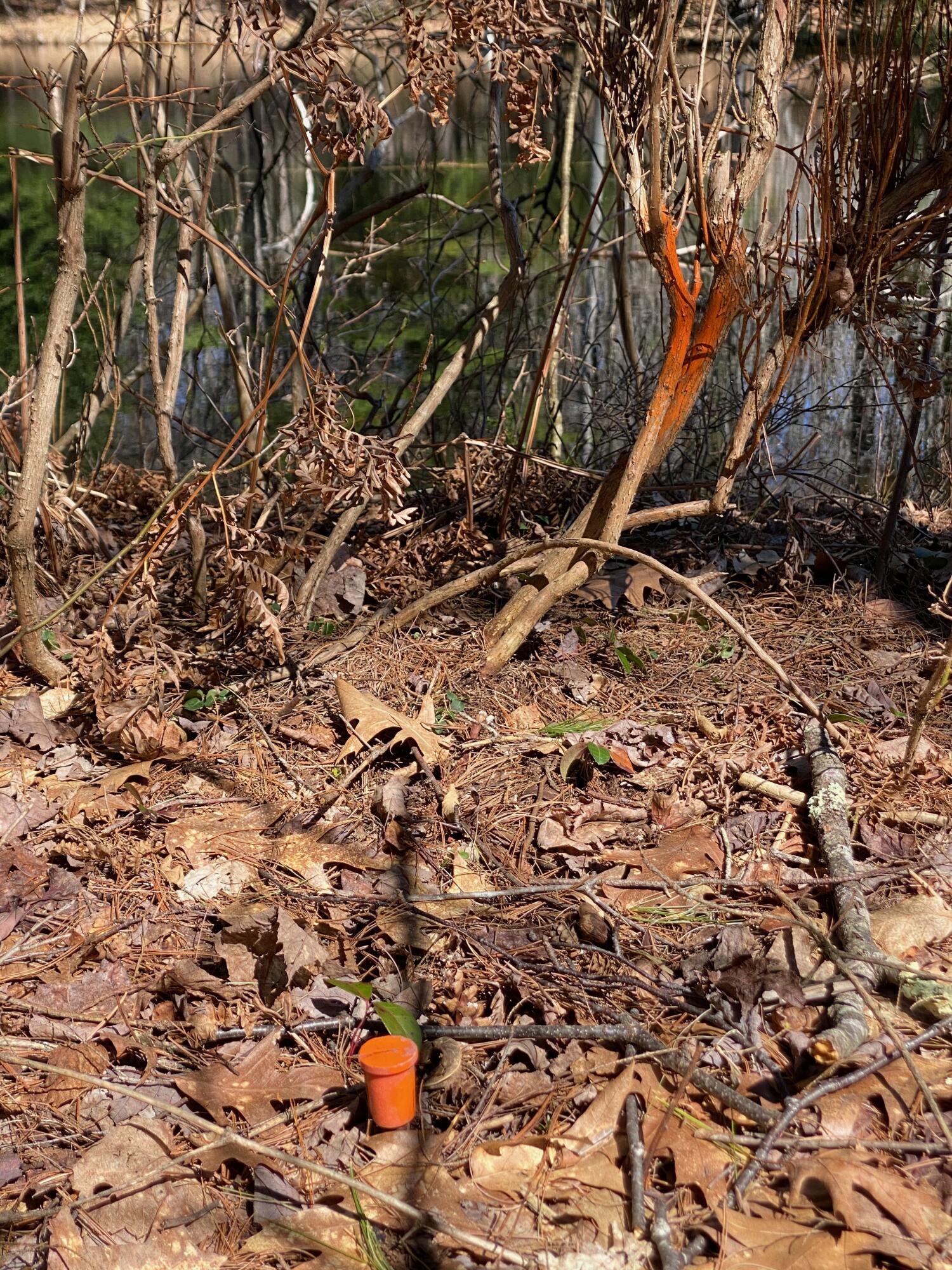 Lot 2 Marble Point Rd Mount Mount Vernon, ME 04352 - Photo 14 of 42 WATERFRONT