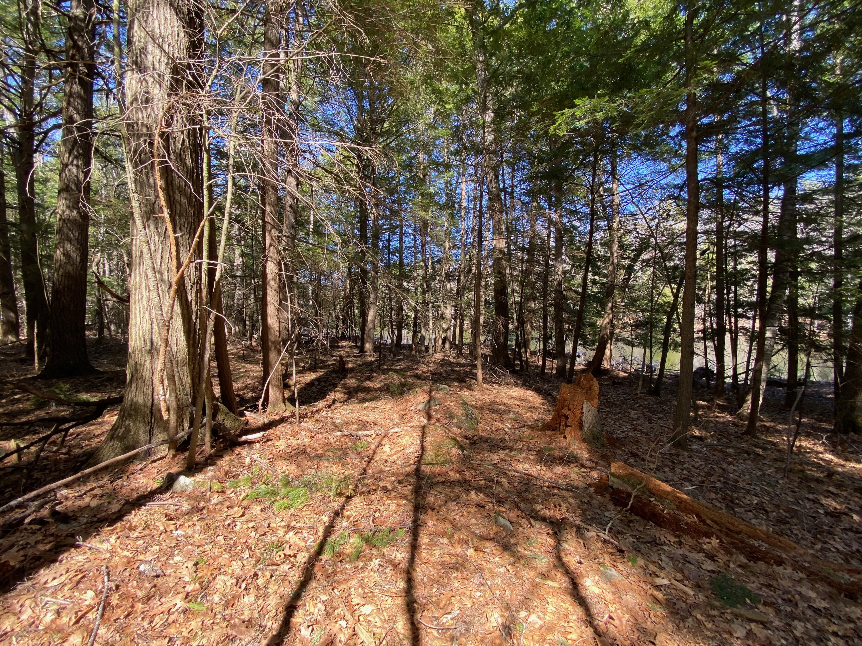 Lot 2 Marble Point Rd Mount Mount Vernon, ME 04352 - Photo 17 of 42 BUILDING LOT