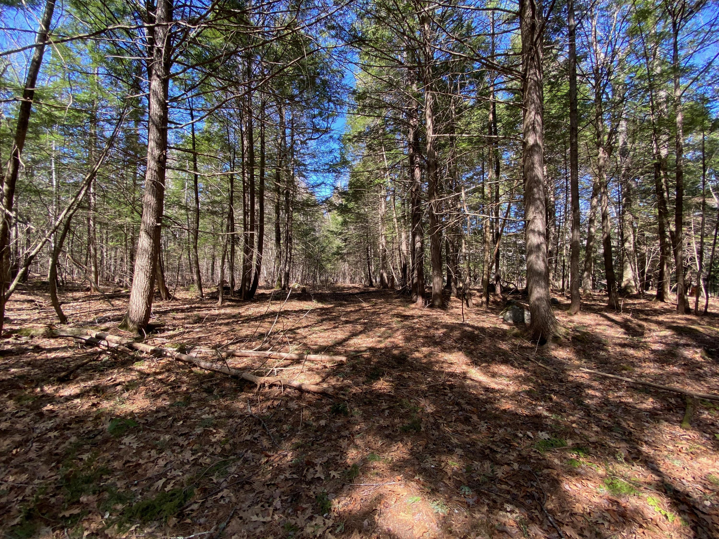 Lot 2 Marble Point Rd Mount Mount Vernon, ME 04352 - Photo 19 of 42 BUILDING LOT