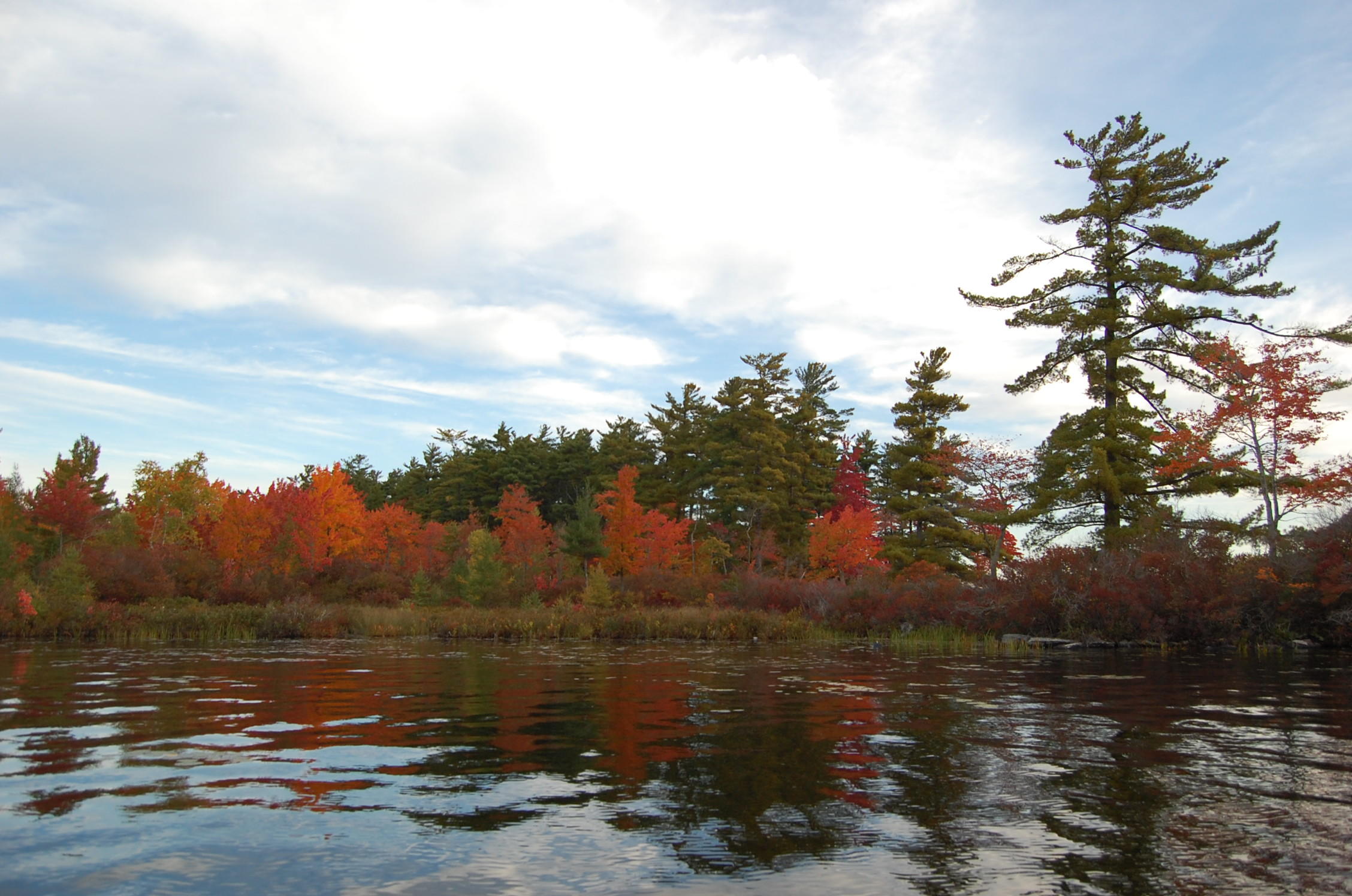 Lot 2 Marble Point Rd Mount Mount Vernon, ME 04352 - Photo 32 of 42 FALL