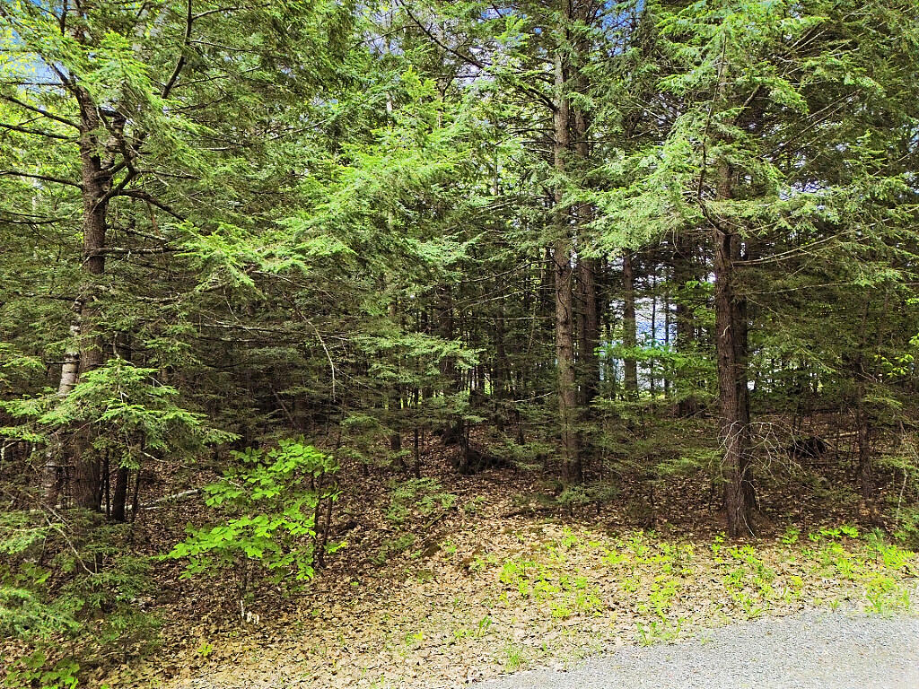 Lot 2 Marble Point Rd Mount Mount Vernon, ME 04352 - Photo 41 of 42 16_DJI_0539_DxO_mls