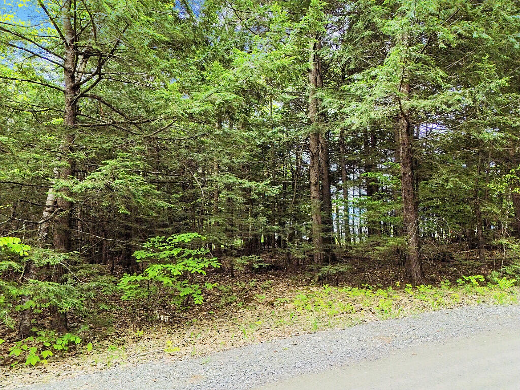 Lot 2 Marble Point Rd Mount Mount Vernon, ME 04352 - Photo 42 of 42 17_DJI_0541_DxO_mls