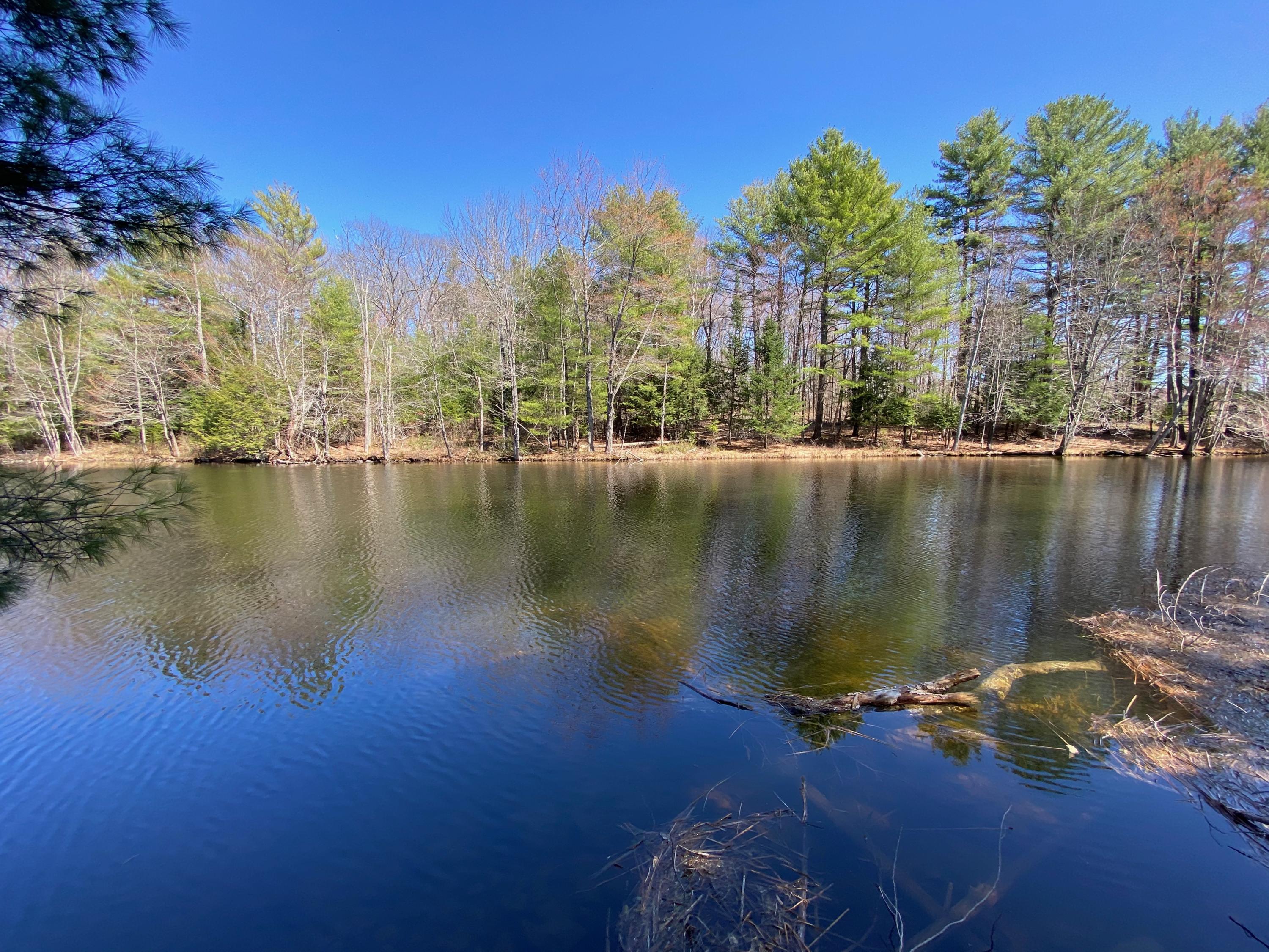 Lot 2 Marble Point Rd Mount Mount Vernon, ME 04352 - Photo 5 of 42 WATERFRONT