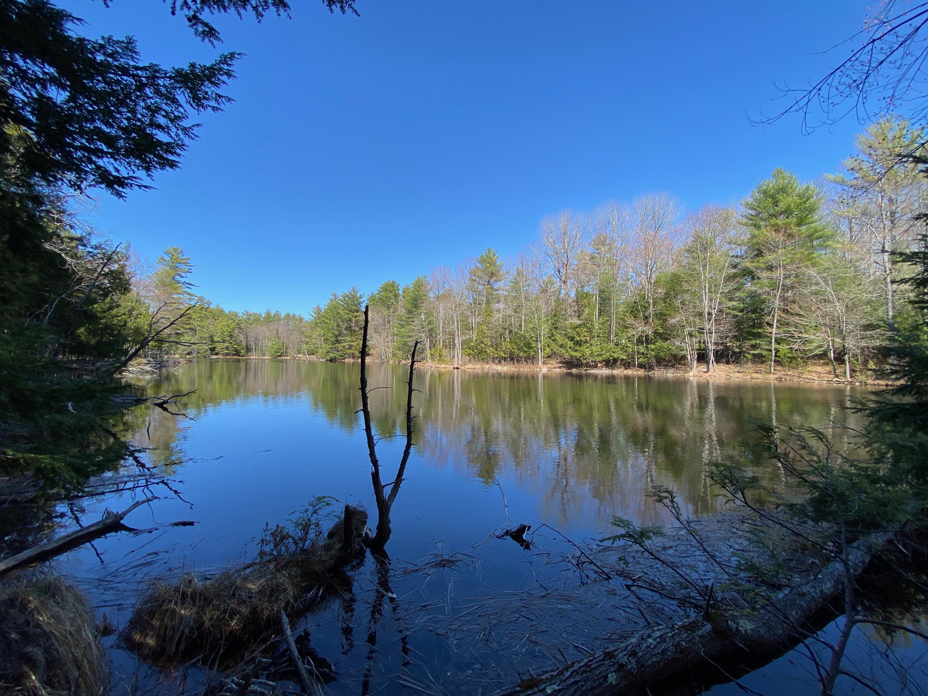 Lot 2 Marble Point Rd Mount Mount Vernon, ME 04352 - Photo 6 of 42 WATERFRONT