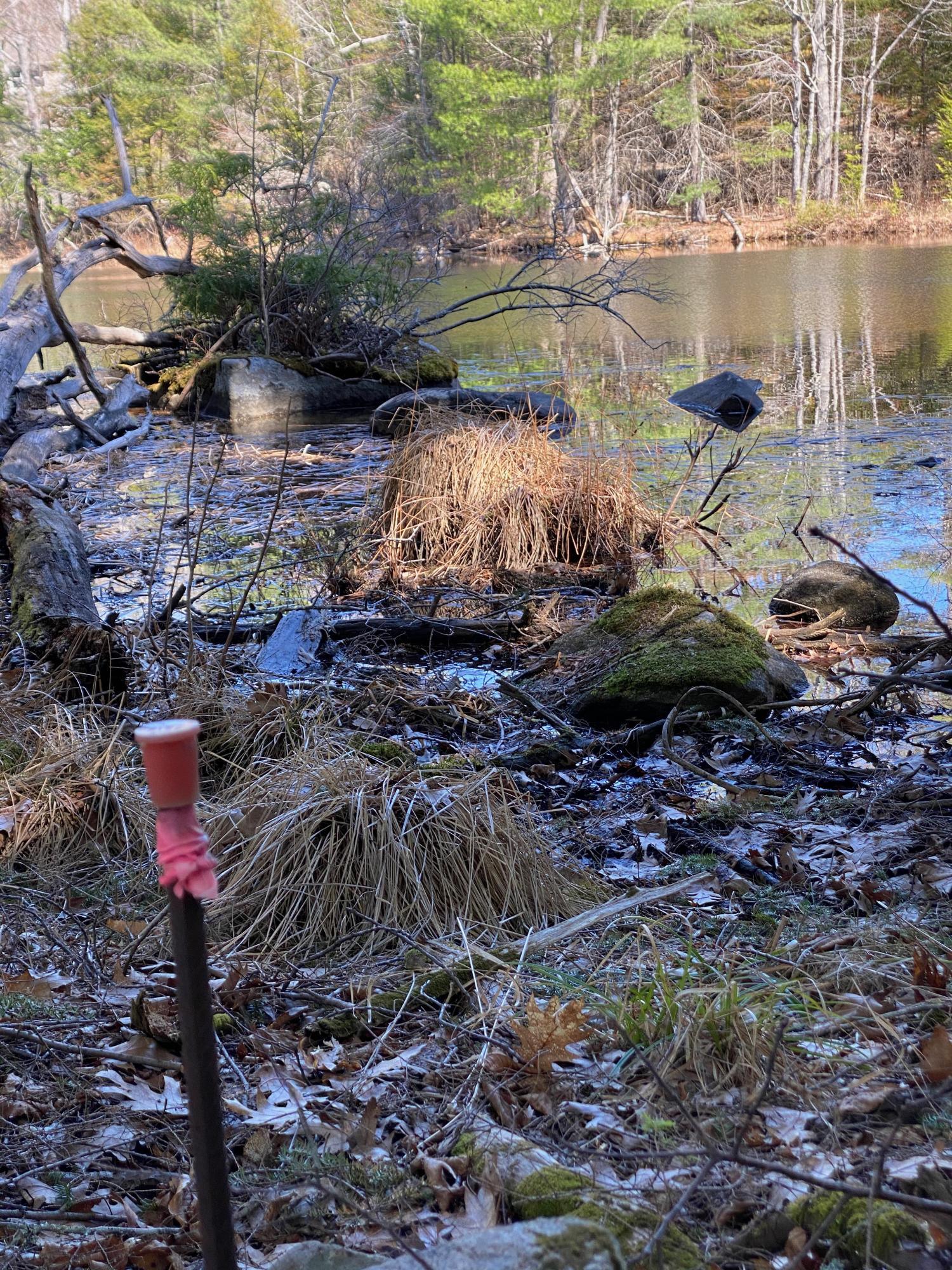 Lot 2 Marble Point Rd Mount Mount Vernon, ME 04352 - Photo 9 of 42 SURVEY PIN