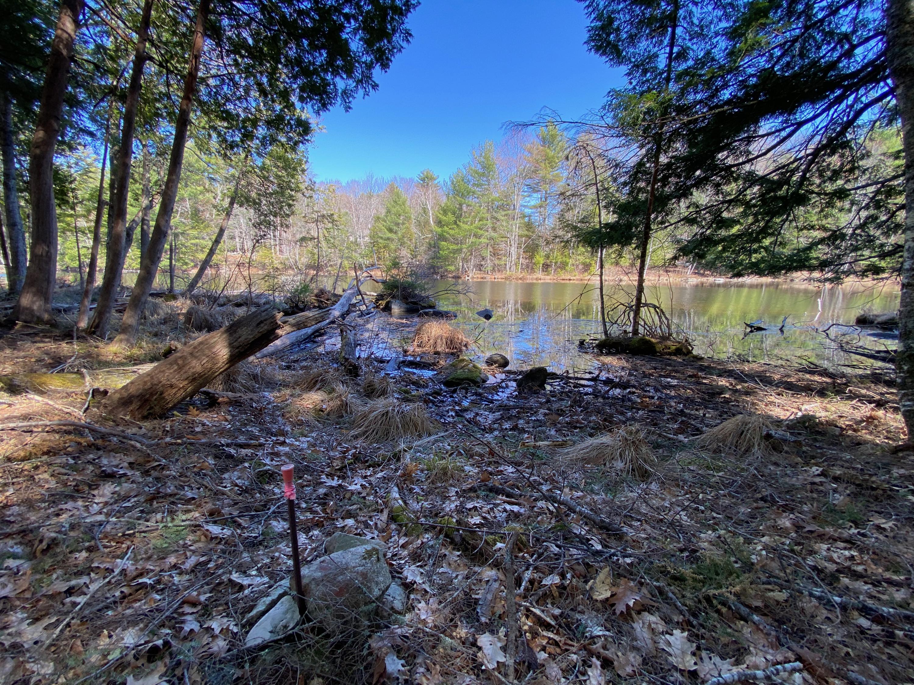 Lot 2 Marble Point Rd Mount Mount Vernon, ME 04352 - Photo 10 of 42 WATERFRONT