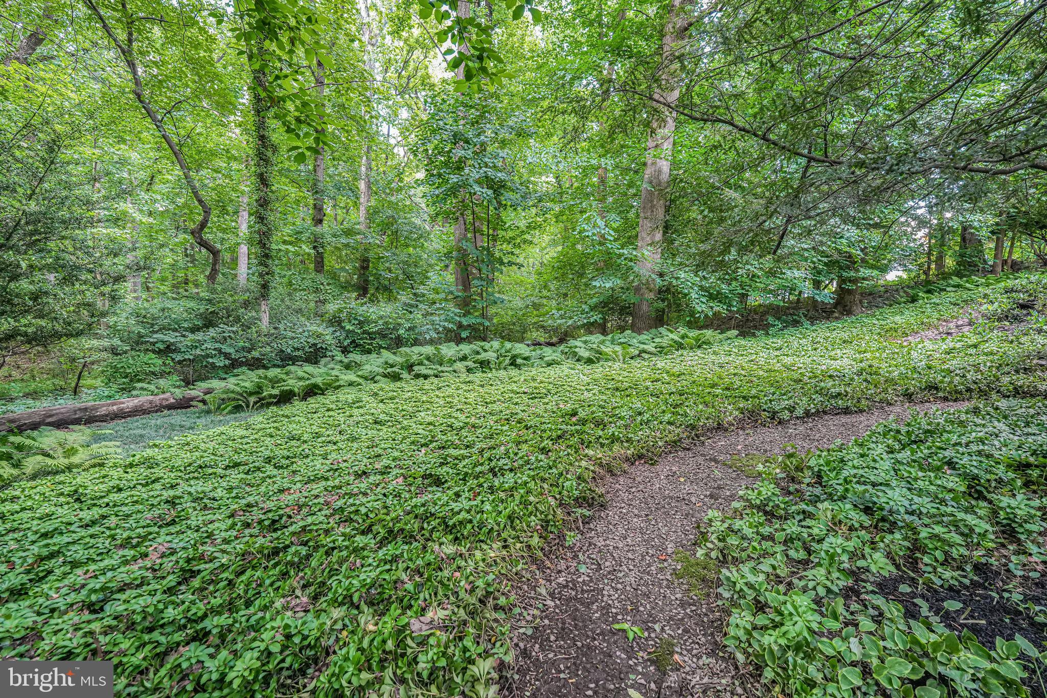 2 Persimmon Court Bethesda, MD 20817 - Photo 52 of 89