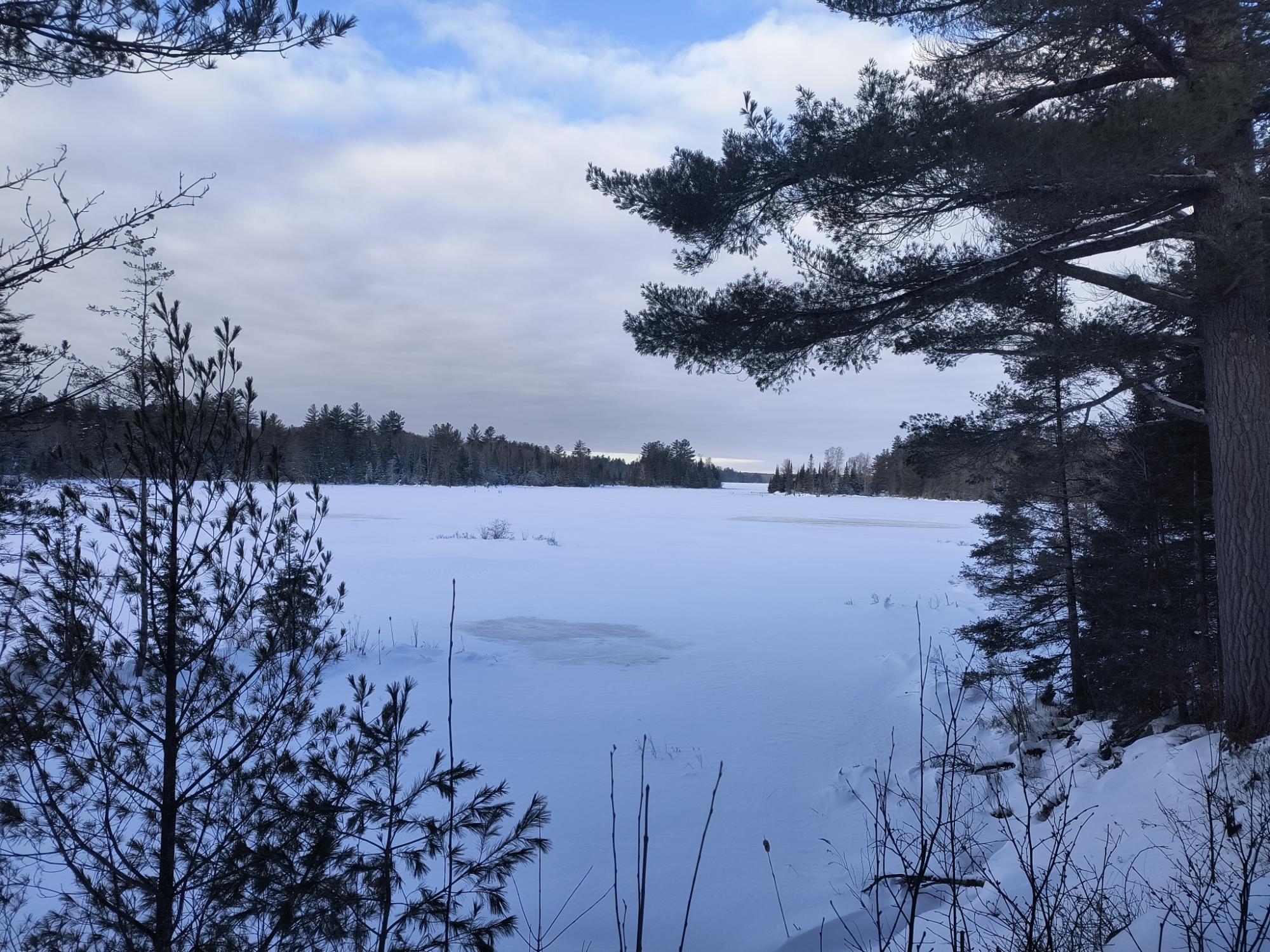 Off Off Forest Road Trout Creek, MI 49967 - Photo 31 of 50 Gallery Image 31