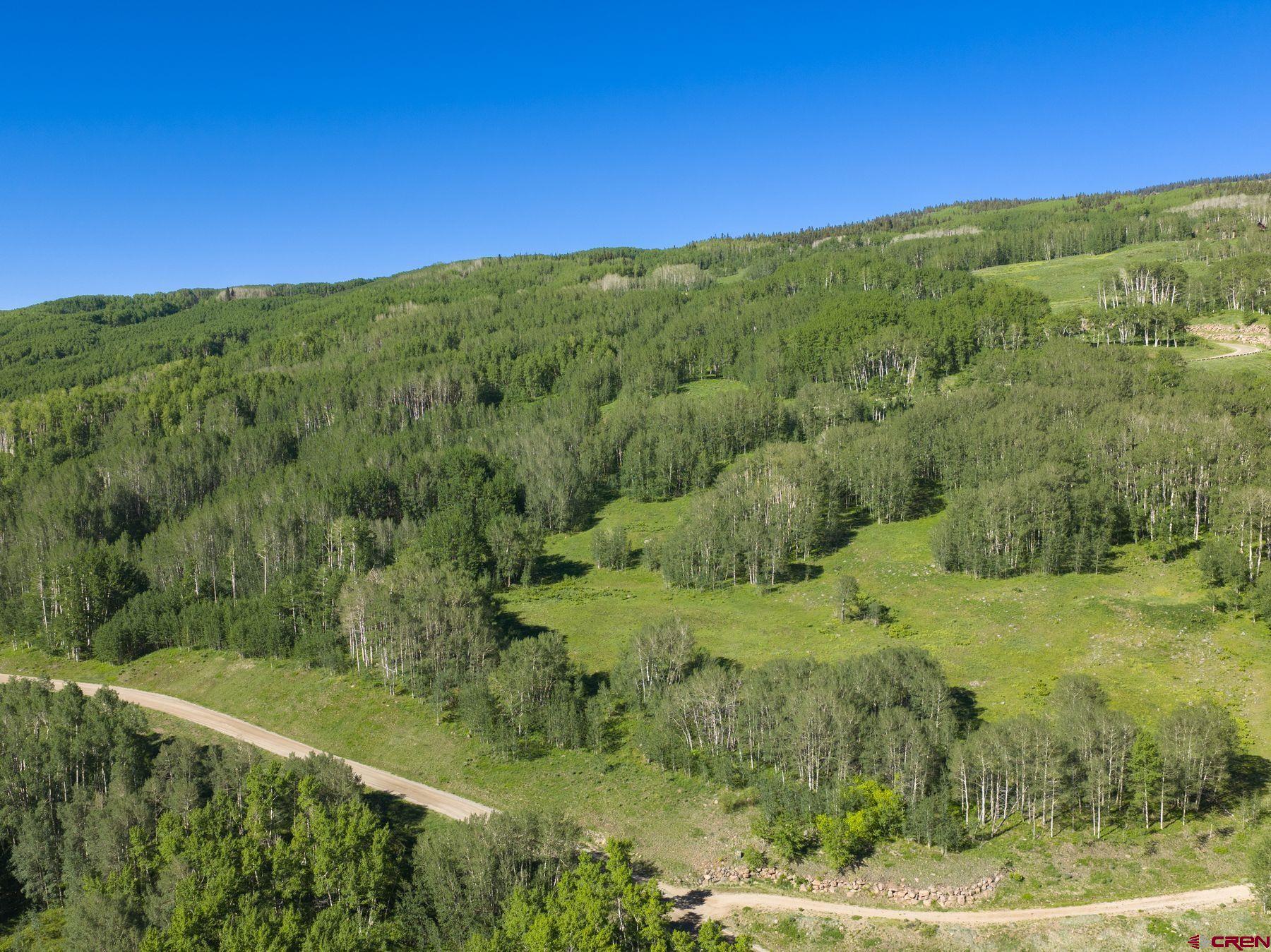 2177 Aspen Mountain Road Almont, CO 81210 - Photo 18 of 20