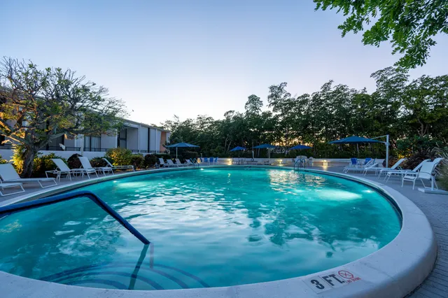 a swimming pool with lots of trees in the background