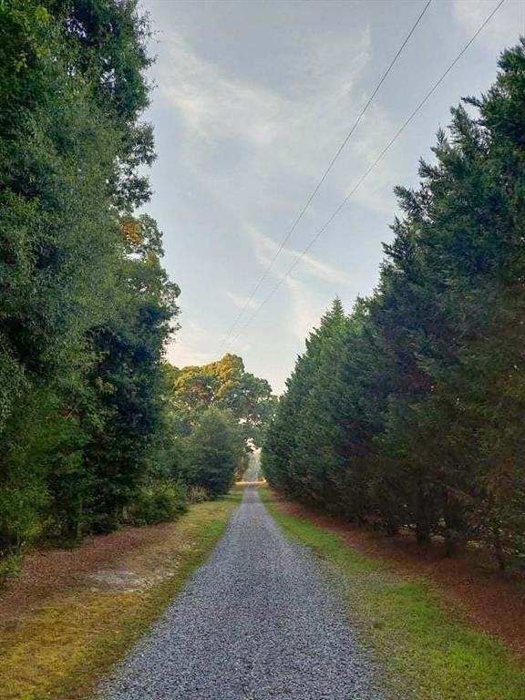 7208 Bulb Road Julian, NC 27283 - Photo 29 of 35 Gallery Image 29